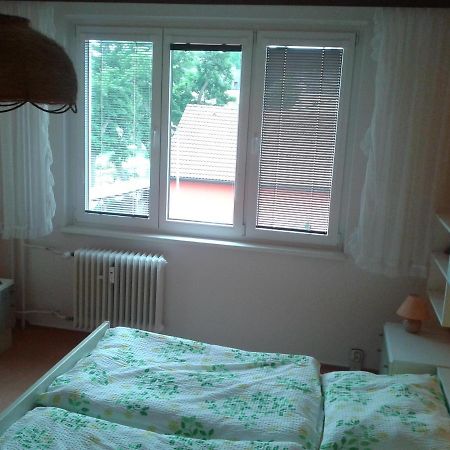 Apartmán ČSA Františkovy Lázně Exterior foto